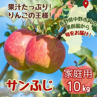 りんご サンふじ家庭用 10kg【1494948】
