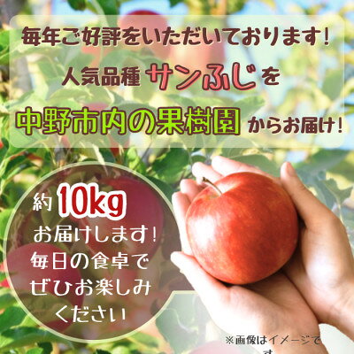 【ふるさと納税】◆2026年12月中発送◆りんご サンふじ家庭用 約10kg(24～42玉)_ 林檎 リンゴ 訳あり 訳アリ わけあり 長野県 信州 くだもの 果物 フルーツ 人気 サンフジ 特産品 産地直送 キズ 中野市 常温 家庭用 規格外 新鮮 蜜入り 果樹園 【1494948】