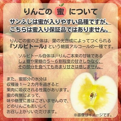 【ふるさと納税】◆2026年12月中発送◆りんご サンふじ家庭用 約10kg(24～42玉)_ 林檎 リンゴ 訳あり 訳アリ わけあり 長野県 信州 くだもの 果物 フルーツ 人気 サンフジ 特産品 産地直送 キズ 中野市 常温 家庭用 規格外 新鮮 蜜入り 果樹園 【1494948】 f202118-nakano-10000734 長野県中野市 サンプル画像3
