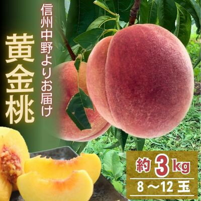 名称 黄金桃 約3kg(8～12玉) 保存方法 冷蔵 発送時期 2024-08-15〜2024-08-31 提供元 斑尾（町井　清和） 配達外のエリア 離島 お礼品の特徴 袋掛けしていますので、消毒液が果肉に大きな影響することなく、安心して食べられます。 果肉は黄色で甘味があります。 ■お礼品の内容について ・桃 黄金桃[約3kg] 　　原産地:長野県中野市 　　消費期限:出荷日+常温5日　冷蔵7日 ■原材料・成分 桃 ■注意事項/その他 ※天候や収穫状況により発送時期が前後する場合がございます。 ※長期保管はなるべく避けて、お早目にお召し上がりいただくことをお勧めいたします。 ・ふるさと納税よくある質問はこちら ・寄附申込みのキャンセル、返礼品の変更・返品はできません。あらかじめご了承ください。このお礼品は以下の地域にはお届けできません。 ご注意ください。 離島