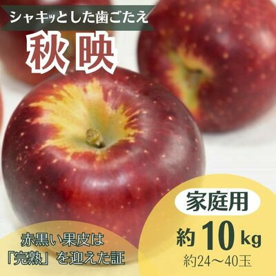 【ふるさと納税】りんご 秋映 約10kg 家庭用(24～40