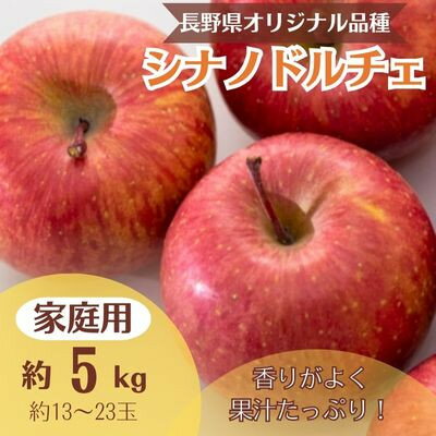 【ふるさと納税】りんご シナノドルチェ 約5kg 家庭用(1
