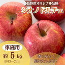 【ふるさと納税】りんご シナノドルチェ 約5kg 家庭用(13玉~23玉)【1495967】