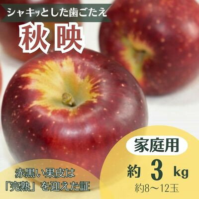 りんご 秋映 約3kg 家庭用(8玉〜12玉)