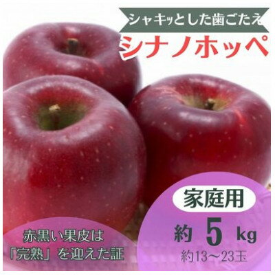 【ふるさと納税】りんご シナノホッペ 約5kg 家庭用 (13玉～23玉)【1495969】