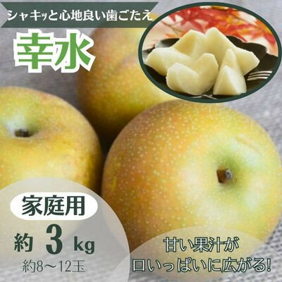 梨 幸水 約3kg 家庭用(8～12玉)【1495970】