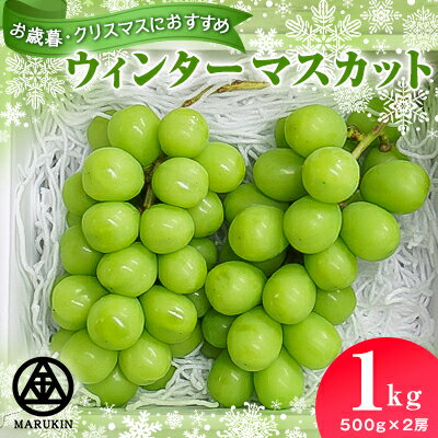 【ふるさと納税】ウィンターマスカット　合計1kg(500g×