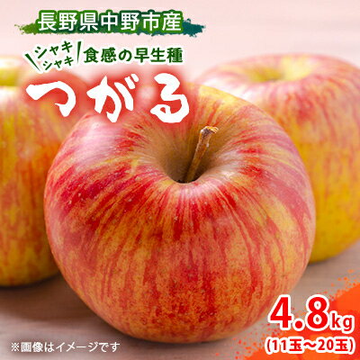 1位! 口コミ数「0件」評価「0」中野市産　つがる　4.8kg【1496553】