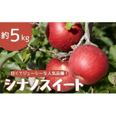 【ふるさと納税】りんご シナノスイート 約5kg【1504882】