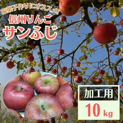 【ふるさと納税】信州りんご 加工用 10kg サンふじ【15