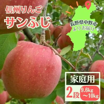 【ふるさと納税】信州りんご サンふじ(2段)計9.6kg～1