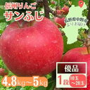 【ふるさと納税】信州りんご サンふじ(1段)4.8kg~5kg 優品【11月中旬より順次発送】【1508409】