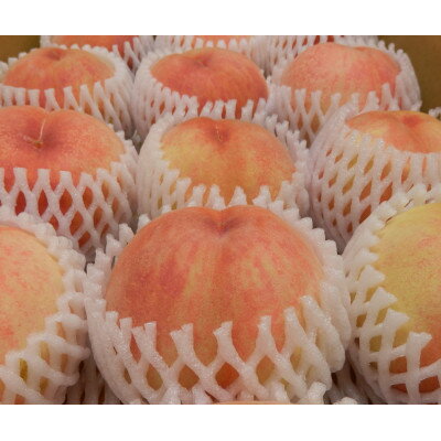 【ふるさと納税】長野県中野市産　旬の特選桃　山根白桃3kg・6～11玉【配送不可地域：離島】【1515359】のサムネイル