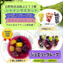 【ふるさと納税】【長野県産】ジュエリーグレープ〔3パック〕〔高級ぶどう3種使用〕〔化学合成添加物・砂糖不使用〕【1519542】