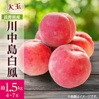 【ふるさと納税】【2025年発送】フルーツ王国 長野県信州直送 桃 川中島白鳳 約1.5kg(4~7玉)_ 桃 もも 果物 フルーツ くだもの 白鳳 川中島白鳳 贈答 ギフト プレゼント 信州 長野 送料無料 人気 産地直送 おすすめ 【配送不可地域:離島】【1530522】 【ふるさと納税】【2025年発送】フルーツ王国 長野県信州直送 桃 川中島白鳳 約1.5kg(4~7玉)_ 桃 もも 果物 フルーツ くだもの 白鳳 川中島白鳳 贈答 ギフト プレゼント 信州 長野 送料無料 人気 産地直送 おすすめ 【配送不可地域:離島】【1530522】
