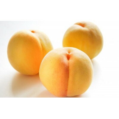 【ふるさと納税】【2026年発送】フルーツ王国 長野県産 北信州 桃 滝の沢ゴールド 約5kg(13〜16玉)【配送不可地域:離島】【1530541】