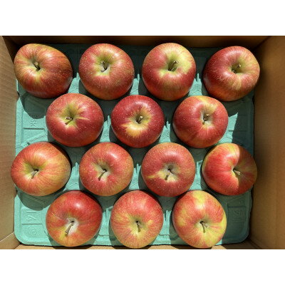 【ふるさと納税】シャキッ!甘～い!シナノスイート 約10kg【1536029】