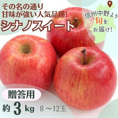 シナノスイート 贈答用 3kg(8～12玉)【1541369】