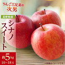 【ふるさと納税】【2025年発送】フルーツ王国 長野県産 りんご シナノスイート 約5kg(10〜18玉程度)【1541939】