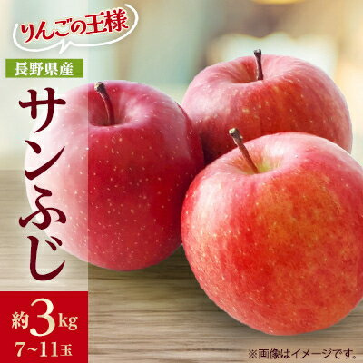 【ふるさと納税】りんごの王様 長野県産 りんご サンふじ 約3kg(7~11玉程度)_ りんご 林檎 果物 くだもの フルーツ サンふじ 長野県 産地直送 送料無料 お取り寄せ ギフト 贈答 プレゼント 信州 【1541945】
