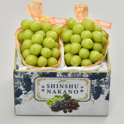 【ふるさと納税】長野県JA中野市から大粒 大房シャインマスカット2房で1.3kg以上【配送不可地域：離島】【1544035】のサムネイル