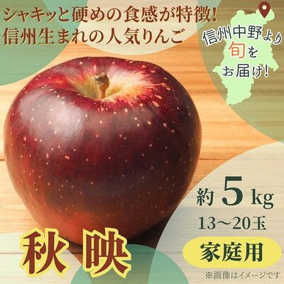 【訳あり】秋映 家庭用 5kg(13～20玉)【配送不可地域：離島】【1545330】