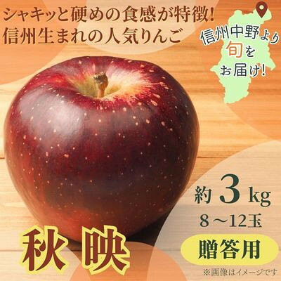 秋映 贈答用 3kg(8～12玉)_ りんご リンゴ 林檎 秋映 あきばえ 果汁 濃厚 国産 長野県 産地直送 3kg ギフト 贈答用 プレゼント 秋 冬 くだもの 果物 フルーツ デザート おやつ 硬め 食感 ジャム お菓子作り 送料無料 【配送不可地域：離島】【1545334】
