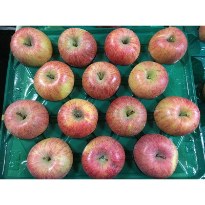 【ふるさと納税】シャキッ!甘～い!シナノスイート 家庭用 約10kg【1550100】