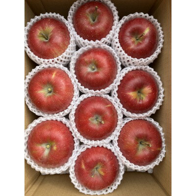 【ふるさと納税】シャキッ!甘～い!シナノスイート 贈答用 約3kg【1550101】