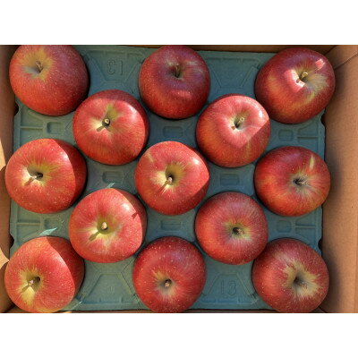 【ふるさと納税】シャキッ!甘～い!シナノスイート贈答用 約10kg【1550103】