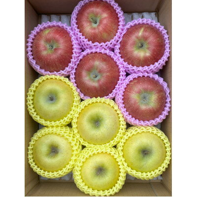 【ふるさと納税】贈答用 シナノスイート、シナノゴールド詰合せ 約3kg【1551864】