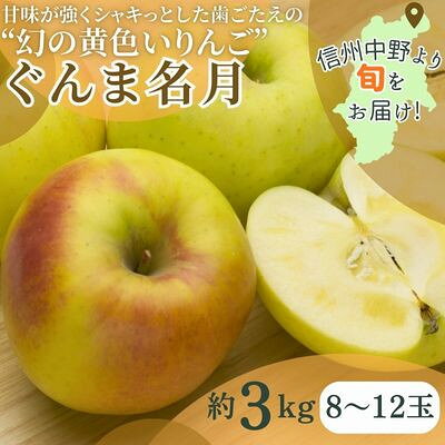 ぐんま名月 3kg(8～12玉)【配送不可地域：離島】【1552041】