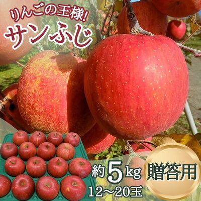 サンふじ 贈答用 約5kg(12～20玉)【1553595】