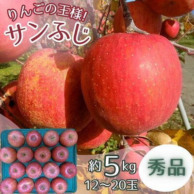 サンふじ 秀品 5kg (12～20玉)【1560887】