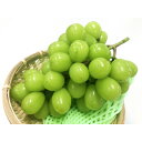 【ふるさと納税】【2025年先行予約】フルーツ王国信州産地直送 シャインマスカット 約5kg(4〜9房)【配送不可地域:離島】【1573058】