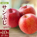 【ふるさと納税】【家庭用】りんごの王様 長野県産 りんご サンふじ 約10kg(20〜30玉程度)【1574738】