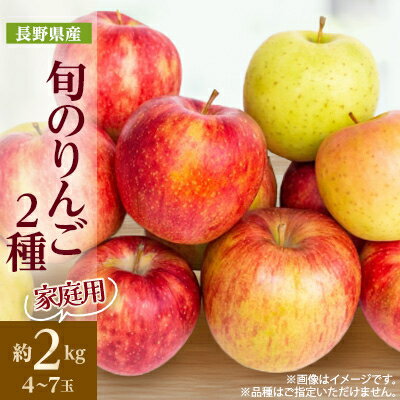 【ふるさと納税】【2025年発送】家庭用 長野県北信州のりんご 約2kg(4~7玉)おまかせ2品種【1575394】