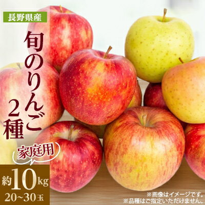 【ふるさと納税】【2025年発送】家庭用 長野県北信州のりんご 約10kg(20~30玉)おまかせ2品種【1575400】