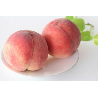 【ふるさと納税】【2025年発送】長野県 北信州の桃 約1.5kg(4~7玉)品種おまかせ 贈答にもおすすめ【配送不可地域:離島】【1575716】 【ふるさと納税】【2025年発送】長野県 北信州の桃 約1.5kg(4~7玉)品種おまかせ 贈答にもおすすめ【配送不可地域:離島】【1575716】