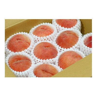 �ڤդ뤵��Ǽ�ǡۡ�2026ǯȯ����Ĺ��̿������� 3kg(8��12��) �ʼ浪�ޤ�����£���ˤ⤪������_ �� ��� ��ʪ ������� �ե롼�� �͵� �������� ����̵�� ����ľ�� £�� ���ե� Ĺ�� ���� �������Բ��ϰ衧Υ��ۡ�1575720��