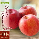 【ふるさと納税】家庭用【2025年発送】長野県産 りんご シナノスイート 約10kg(18〜30玉)【1576283】