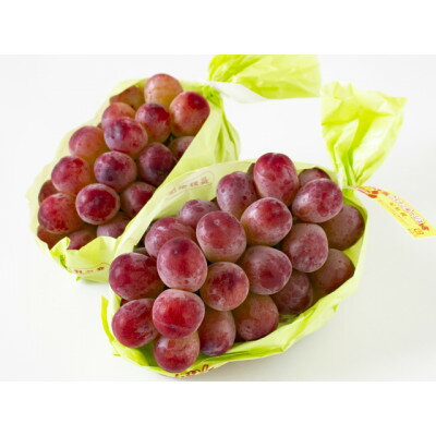 【ふるさと納税】家庭用【2025年発送】長野限定 信州産クイーンルージュ(赤ぶどう) 約10kg(10〜17房)_ ぶどう ブドウ 葡萄 長野県 種なし 赤ぶど...