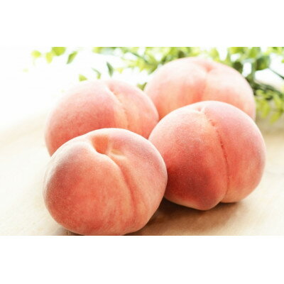 【ふるさと納税】【2025年発送】フルーツ王国 長野県信州直送 白桃 約2kg(3~8玉)【配送不可地域:離島】【1577368】