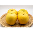 【ふるさと納税】【2025年発送】 長野県産 りんご シナノゴールド 約2kg(3〜5玉程度)【1577419】