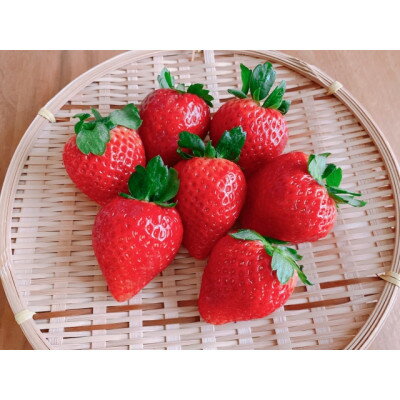 【ふるさと納税】【2026年発送】長野県産 　いちご　紅ほっぺ　4パック【約1kg～1.2kg】【配送不可地域：離島】【1603741】