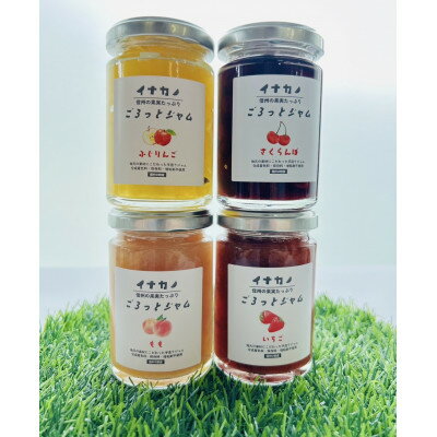 【ふるさと納税】長野県果実を使った イナカノ ごろっとジャム 140g×おすすめ4本セット【B】【1625413】