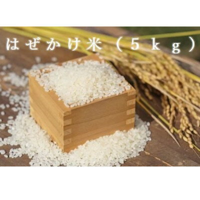 【ふるさと納税】お米 コシヒカリ(はぜかけ米)精米 5kg【1639180】