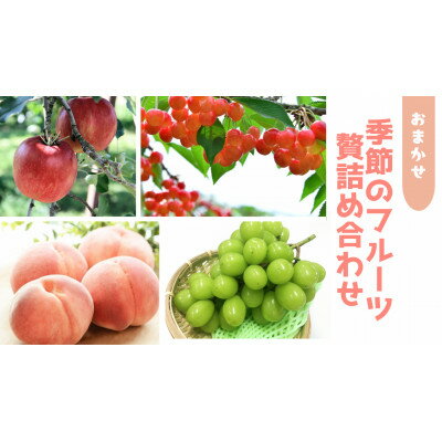 信州中野 季節の果物おまかせセット[フルーツ詰め合わせ][配送不可地域:離島]