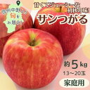 【ふるさと納税】りんご サンつがる 家庭用 約5kg 13〜20玉【配送不可地域:離島・北海道・沖縄県】【1647627】