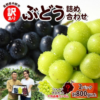 [2026年先行予約]訳あり ぶどう 房 2種 食べ比べ 計2パック(計800g以上) 信州丸幸農園[配送不可地域:離島・沖縄県]